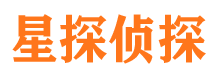 杜尔伯特侦探公司